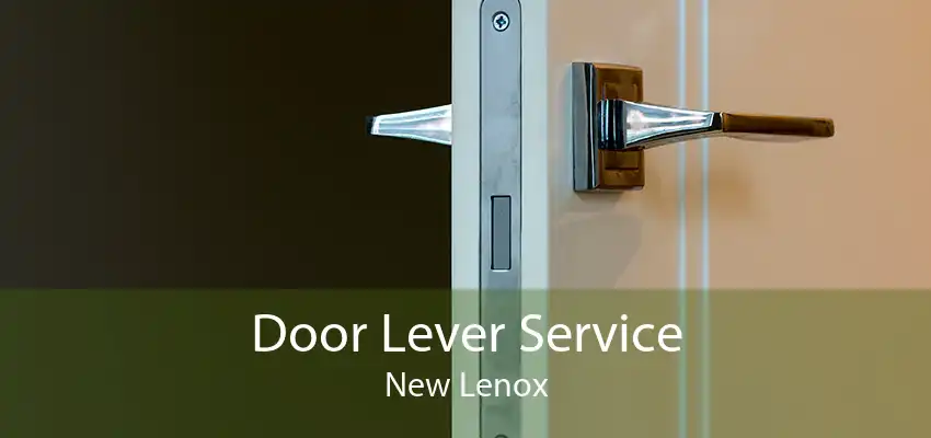 Door Lever Service New Lenox